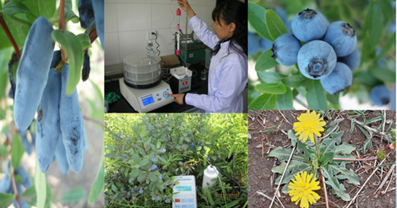 2特色动植物.png