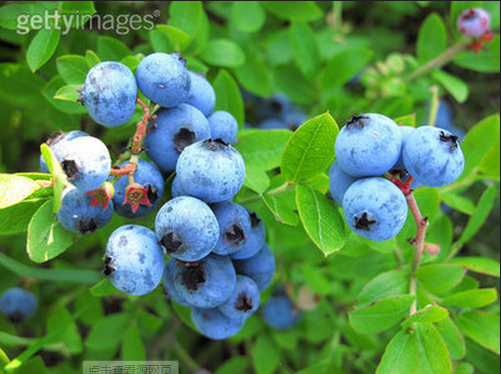 /uploads/image/2022/02/22/02ec167165d4bf9f2806aa5b5f572f2c.png