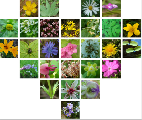 /uploads/image/2022/02/23/d25ca8f6b0a27e60fafd6c22406d754c.png