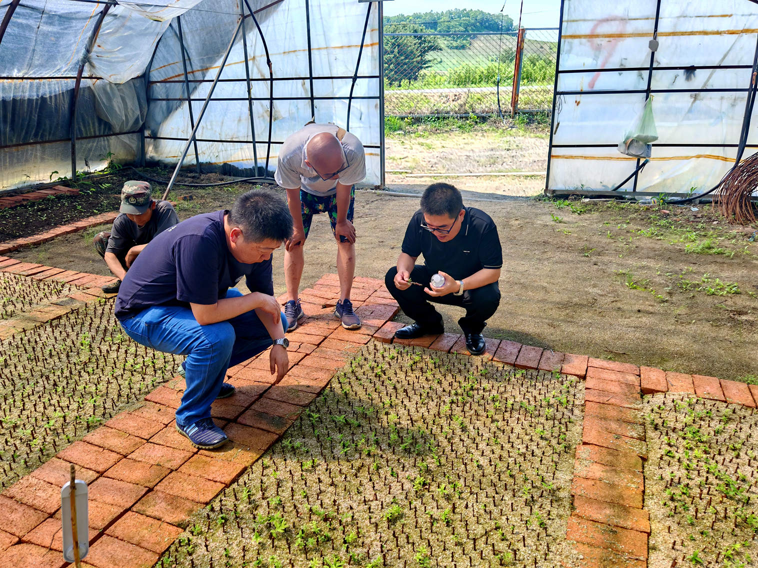 /uploads/image/2024/06/21/63f970a6ec5740cae5c4c071f6bd56b3.jpg 999.jpg