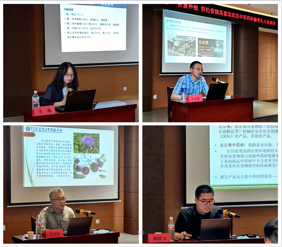 /uploads/image/2024/06/21/10c8825c195a57e83b3d74c2e81e56af.png 2.png